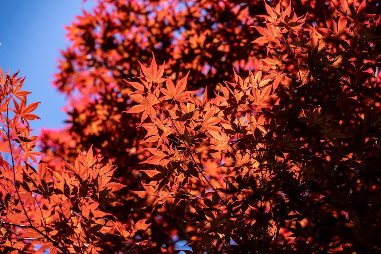 清境英格曼花園民宿 Renai Bagian luar foto